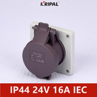 IP44 24V 48V 2P Single Phase Low Voltage Panel Mounted Socket