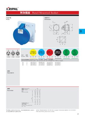 63A IP44 220v 6h Straight Durable Panel Mount Power Socket IEC Standard