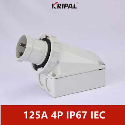 Single Phase 63A 125A IP67 Industrial Electric Wall Mounted Plug