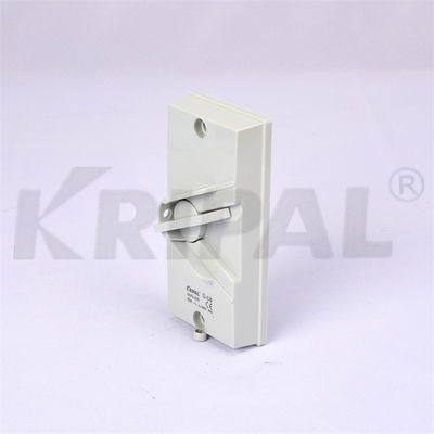 63A 1Pole  IP66 Industrial Outdoor Waterproof Isolating Switch