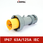 63A 125A IP67 Three Phase Waterproof European Industrial Plug 6H