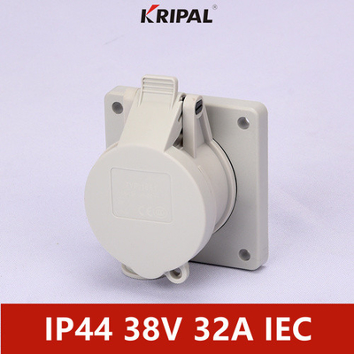 IP44 24V 48V 2P Single Phase Low Voltage Panel Mounted Socket