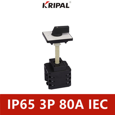 80A 3 Pole IP65 Waterproof Lever Switch For Illumination Equipments